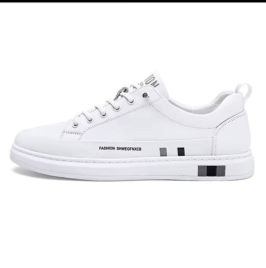 gid://shopify/MediaImage/25707778113606